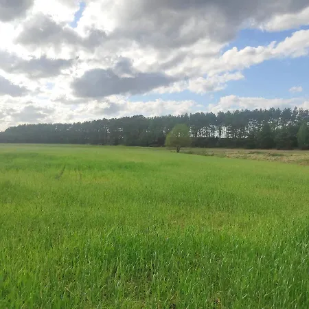 بيت للعطل Wdzydzka *