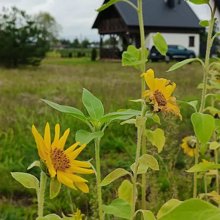 بيت للعطل Wdzydzka