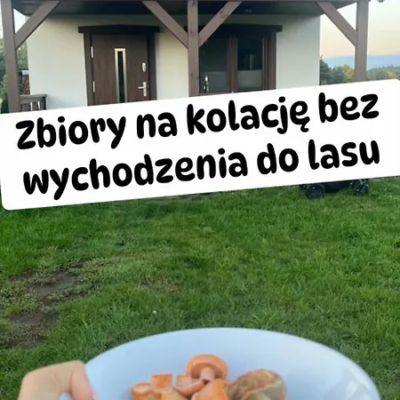 Dom wakacyjny Wdzydzka *