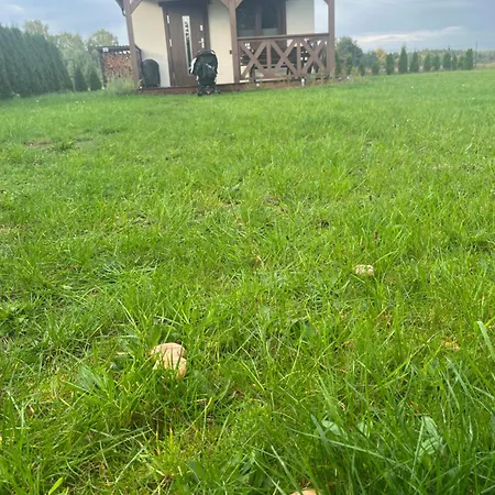 Wdzydzka * Wdzydze Tucholskie