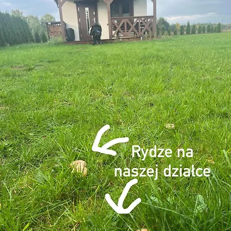 Wdzydzka